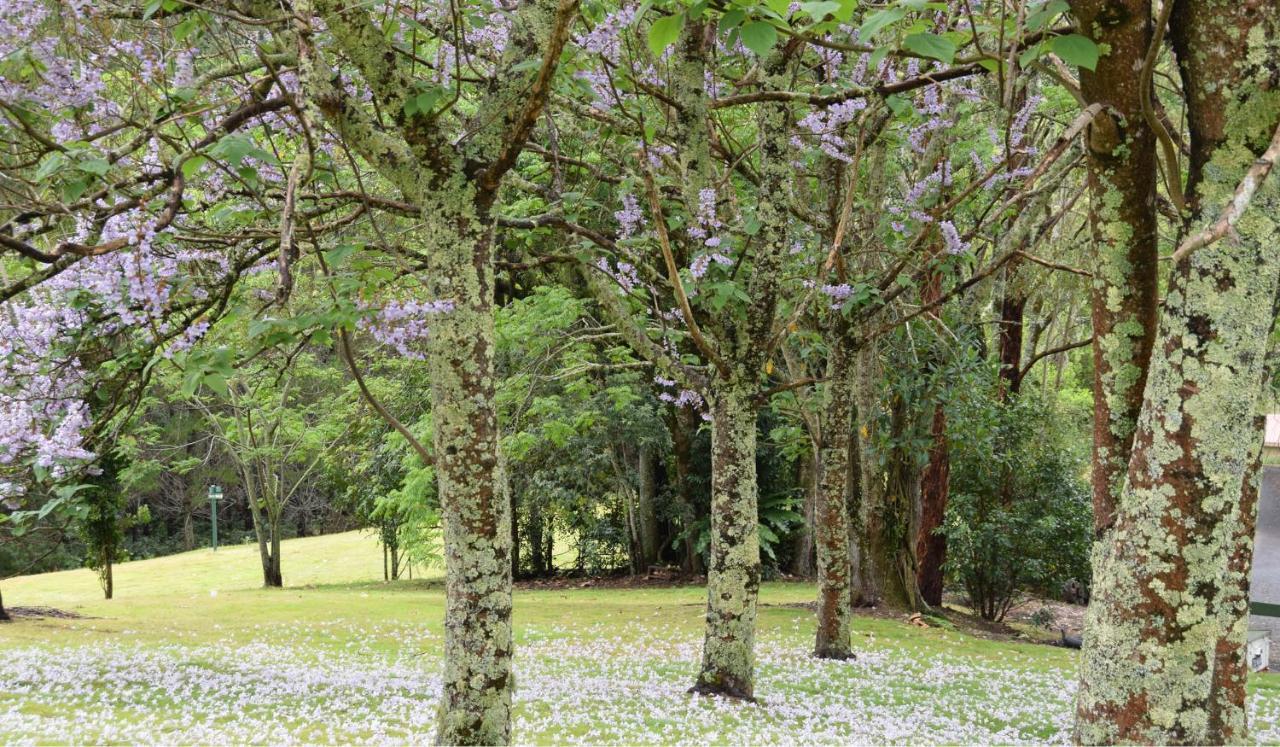 Copeland House Bed & Breakfast ภายนอก รูปภาพ