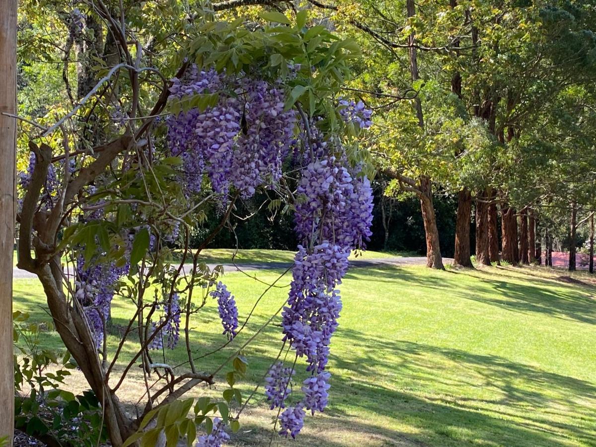 Copeland House Bed & Breakfast ภายนอก รูปภาพ